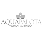 aquapalota